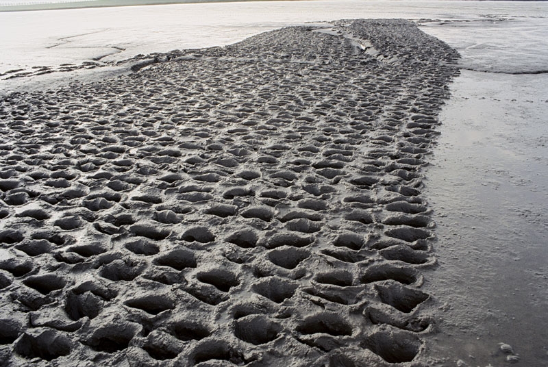 Tracks in the Flats, Dollard, 2000, photo: Alexandra Engelfriet