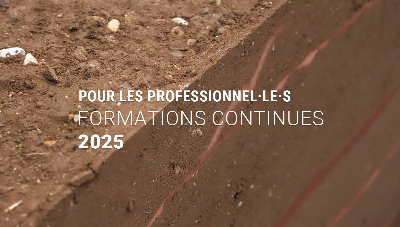 [NOUVEAU]Formations continues pour les professionnel·le·s 2025