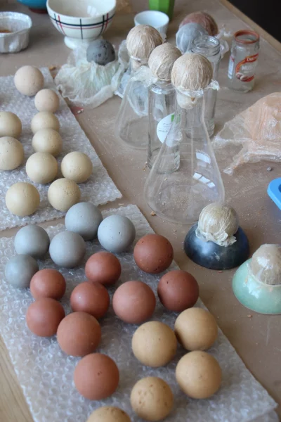 20250715_Terrodoros_Fabrication-des-boules_©amàco_7820