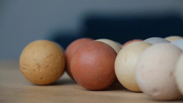 20250715_Terrodoros_Fabrication-des-boules_©amàco_7853