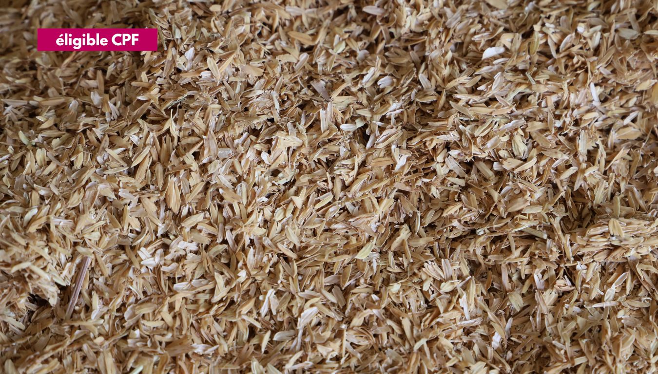 [Eligible CPF] Intégrer les matériaux bio-géo-sourcés dans un projet de rénovation thermique — du 30 mars au 2 avril 2026