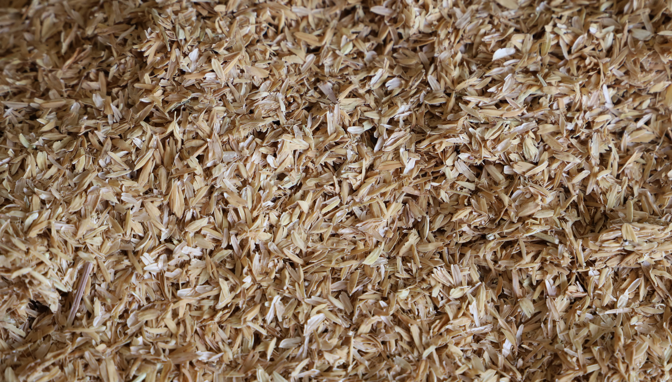 Intégrer les matériaux bio-géo-sourcés dans un projet de rénovation thermique — du 30 mars au 2 avril 2026